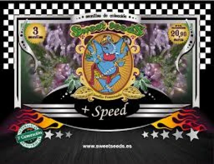 SWEET SEEDS - + SPEED AUTO® FEM (SWS27) | 3+1 SEEDS