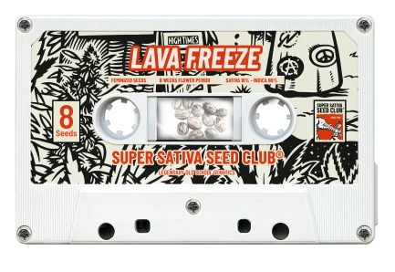 SUPER SATIVA SEED CLUB - LAVA FREEZE FEM | 3 SEEDS