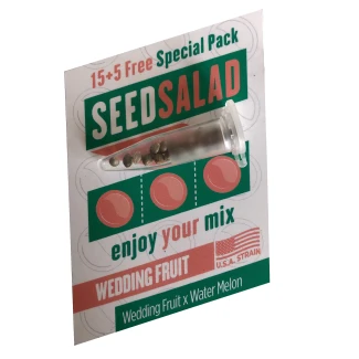 SEEDSALAD - WEDDING FRUIT FEM (USA STRAIN) | 15+5 FREE SEEDS