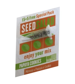 SEEDSALAD - PAPAYA COOKIES FEM (USA STRAIN) | 15+5 FREE SEEDS