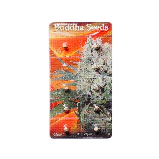 BUDDHA SEEDS - SYRUP AUTO FEM | BLISTER 1x10 SEEDS