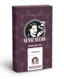 SS1560329 - SENSI SEEDS BANK - BLACK HARLEQUIN FEM | 3 SEEDS Available while stocks last