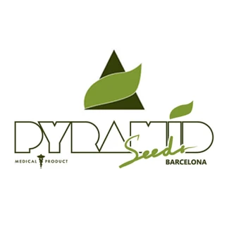 PYRAMID SEEDS - TUTANKHAMON FEM | 1 SEED