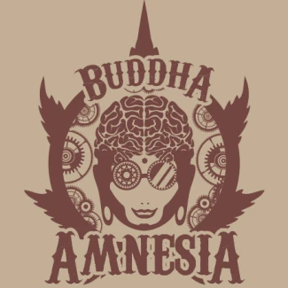 BUDDHA SEEDS - BUDDHA AMNESIA CLASSIC FEM | 3 SEEDS