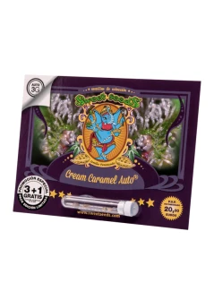 SWEET SEEDS - CREAM CARAMEL AUTO® (SWS22) | 5+2 SEEDS