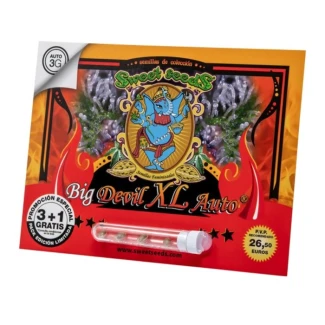 SWEET SEEDS - BIG DEVIL XL AUTO® FEM (SWS28) | 25 SEEDS