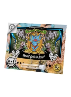 SWEET SEEDS SWEET SEEDS - SWEET GELATO AUTO FEM® (SWS76) | 100 SEEDS- SWEET GELATO AUTO FEM® (SWS76) | 100 SEEDS