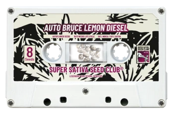 SSSC200302 - SUPER SATIVA SEED CLUB - AUTO BRUCE LEMON DIESEL FEM | 3 SEEDS