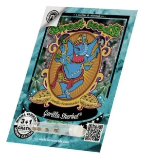 SWEET SEEDS - GORILLA SHERBET F1 FAST VERSION® FEM (SWS98) | 25 SEEDS