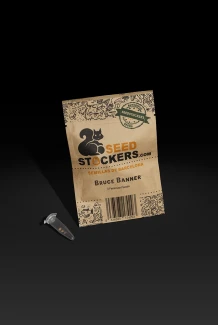 SEEDSTOCKERS - BRUCE BANNER FEM | 25 SEEDS