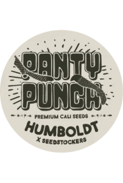 SSTKHF0001066 - SEEDSTOCKERS - PANTY PUNCH FEM (SUPERIOR) | 1 SEED