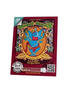 SWEET SEEDS - S.ASWEET SEEDS - S.A.D. SWEET AFGANI DELICIOUS CBD® FEM (SWS60) | 3+1 SEEDS.D. SWEET AFGANI DELICIOUS CBD® FEM (SWS60) | 3+1 SEEDS