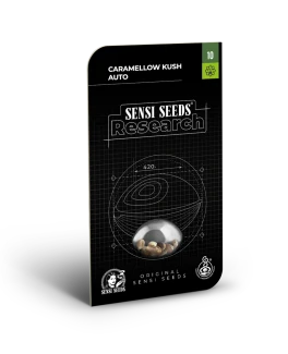 SENSI SEEDS RESEARCH - CARAMELLOW KUSH AUTO FEM | 3 SEEDS