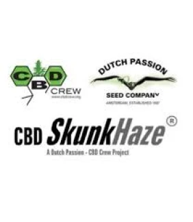 DUTCH PASSION - CBD SKUNKHAZE FEM | 3 SEEDS