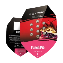 RQSFEM001086 - ROYAL QUEEN SEEDS - PUNCH PIE FEM (TYSON SEEDS) | 1 SEMILLA
