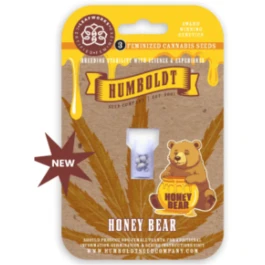 HSCHB-3-F - HUMBOLDT SEEDS COMPANY - HONEY BEAR FEM | 3 SEMILLAS