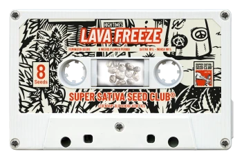 SSSC050502 - SUPER SATIVA SEED CLUB - LAVA FREEZE FEM | 5 SEMILLAS