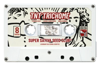 SSSC100302 - SUPER SATIVA SEED CLUB - TNT TRICHOME FEM | 3 SEMILLAS