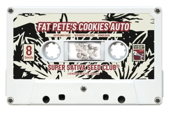 SSSC161002 - CLUB DE SEMILLAS SUPER SATIVA - FAT PETE'S COOKIES AUTO FEM | 8 SEMILLAS Disponible hasta fin de existencias