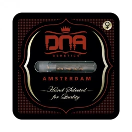 DNAFEM621 - DNA GENETICS - CATARACT CAKE FEM | 6 SEMILLAS