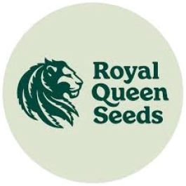 RQSFEM003096 - ROYAL QUEEN SEEDS - PINK GORILLA FEM | 3 GRAINES