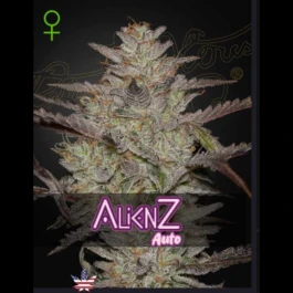 GHALZA03 - GREEN HOUSE SEED CO. - ALIENZ AUTO FEM | 3 GRAINES