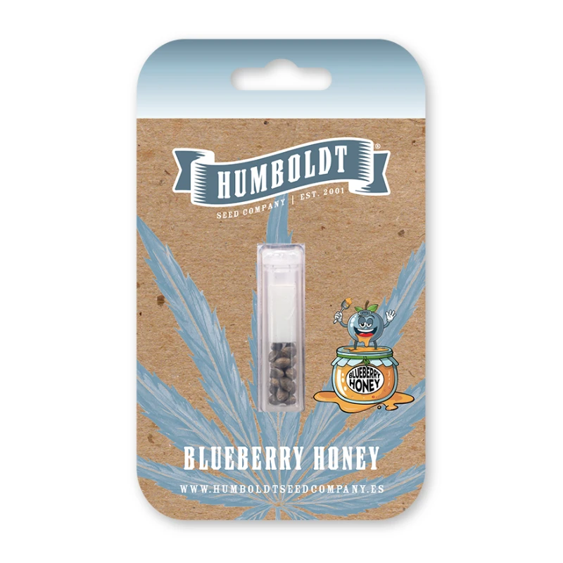 HSCBH-3-F - HUMBOLDT SEEDS COMPANY - BLUEBERRY HONEY FEM | 3 GRAINES