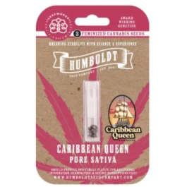 HSCCQ-3-F - HUMBOLDT SEEDS COMPANY - CARIBBEAN QUEEN FEM | 3 GRAINES