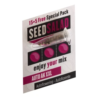 SEX00215PIP - SEEDSALAD - AUTO AK XXL FEM | 15+5 GRAINES GRATUITES