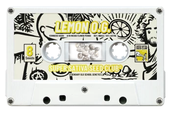 SSSC130802 - SUPER SATIVA SEED CLUB - LEMON OG FEM | 8 SEMENCES Disponible jusqu'à épuisement des stocks