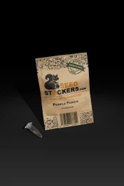 SSTKF0003042 - SEEDSTOCKERS - PURPLE PUNCH FEM | 3 GRAINES