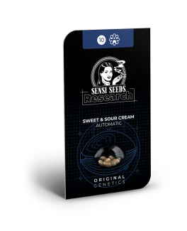 SENSI SEEDS RESEARCH - SWEET & SOUR CREAM AUTOMATIC | 10 SEMI