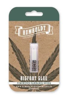HUMBOLDT SEEDS COMPANY - BIGFOOT GLUE FEM | 5 SEMI