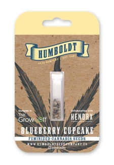 HUMBOLDT SEEDS COMPANY - BLUEBERRY CUPCAKE FEM | 3 SEMI