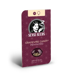 SENSI SEEDS BANK - GRAPEVINE CANDY FEM | 3 SEMI