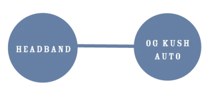 HUMBOLDT SEEDS COMPANY - HUMBOLDT HEADBAND AUTO | 10 SEMI
