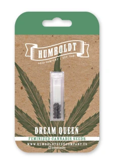 HUMBOLDT SEEDS COMPANY - DREAM QUEEN FEM | 5 SEMI