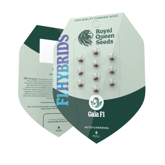 RQS_F1_Gaia_New-2025_packet