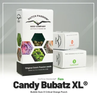 DP_Candy-Bubatz-XL-Dutch-Passion-seed-company_packet