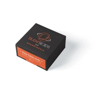 SILS_polar_gelato_auto_packet
