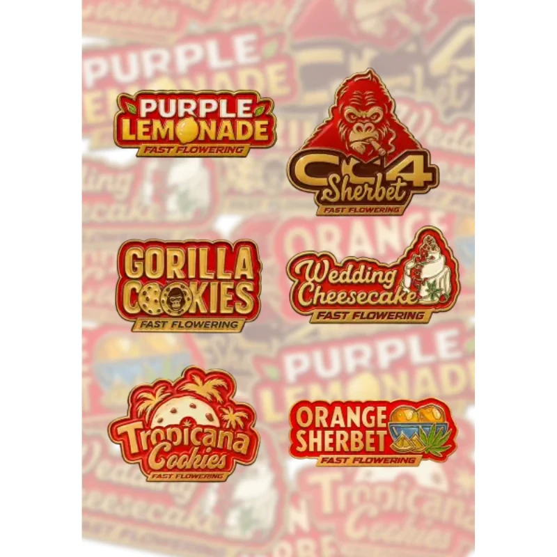 FBMXPFFF005 - FAST BUDS - MIX PACK FAST FLOWERING FEM | 5 SEMI