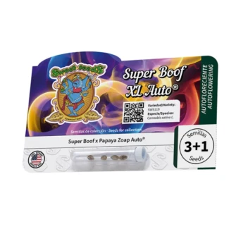 SWEET-SEEDS-SUPER-BOOF-XL-AUTO-FEM_packet