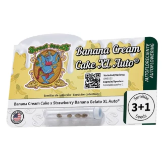 SWEET-SEEDS-BANANA-CREAM-CAKE-XL-AUTO_packet