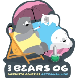 MEPHISTO-GENETICS-3-BEARS-OG-AUTO-FEM_logo