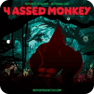 MEPHISTO-GENETICS-4-ASSED-MONKEY-AUTO-FEM_logo