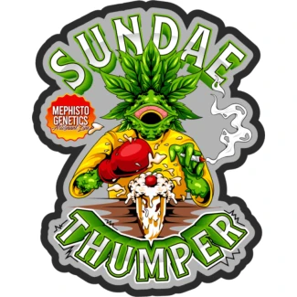 MEPHISTO-GENETICS-SUNDAE-THUMPER-AUTO-FEM_logo