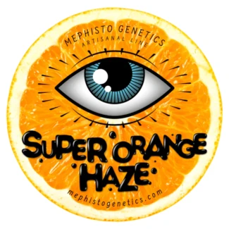 MEPHISTO-GENETICS-SUPER-ORANGE-HAZE-AUTO-FEM_logo