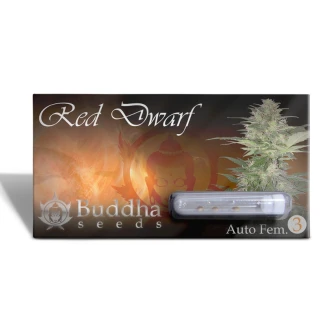 BUDDHA-SEEDS-RED-DWARF-AUTO-FEM-3-SEMI_packet