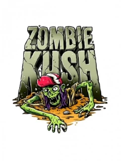 RIPPER SEEDS - ZOMBIE KUSH FEM | 5 SEMI
