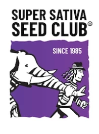 SSSC260302 - SUPER SATIVA SEED CLUB - BLACK LEBANON FEM | 3 SEMI